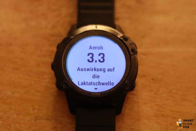 Эффективность тренировки на Garmin Fenix 6 Pro.